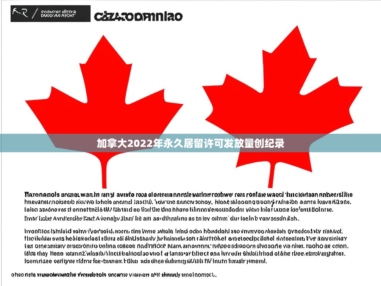 加拿大2022年永久居留许可发放量创纪录