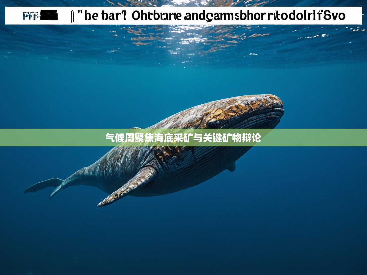 气候周聚焦海底采矿与关键矿物辩论