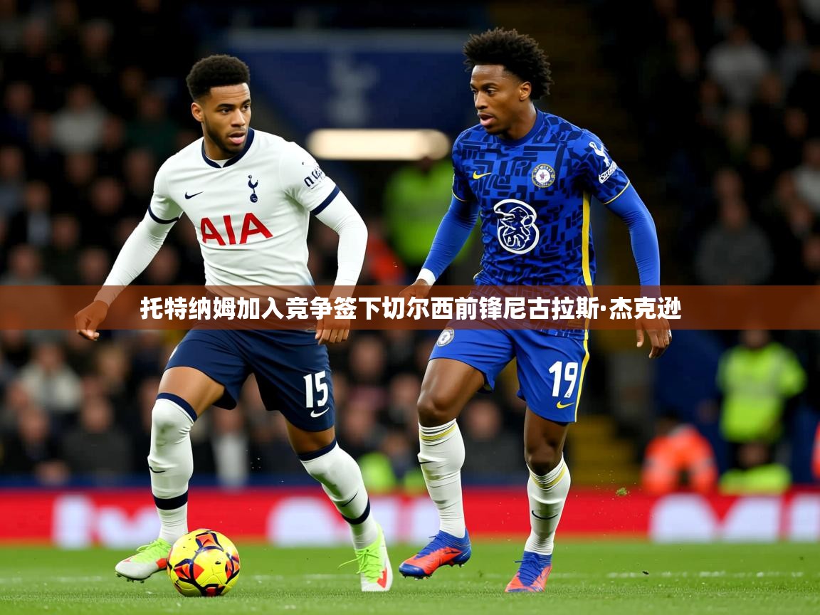 托特纳姆加入竞争签下切尔西前锋尼古拉斯·杰克逊 托特纳姆加入竞争签下切尔西前锋尼古拉斯·杰克逊