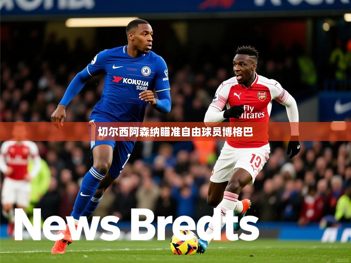 切尔西阿森纳瞄准自由球员博格巴
