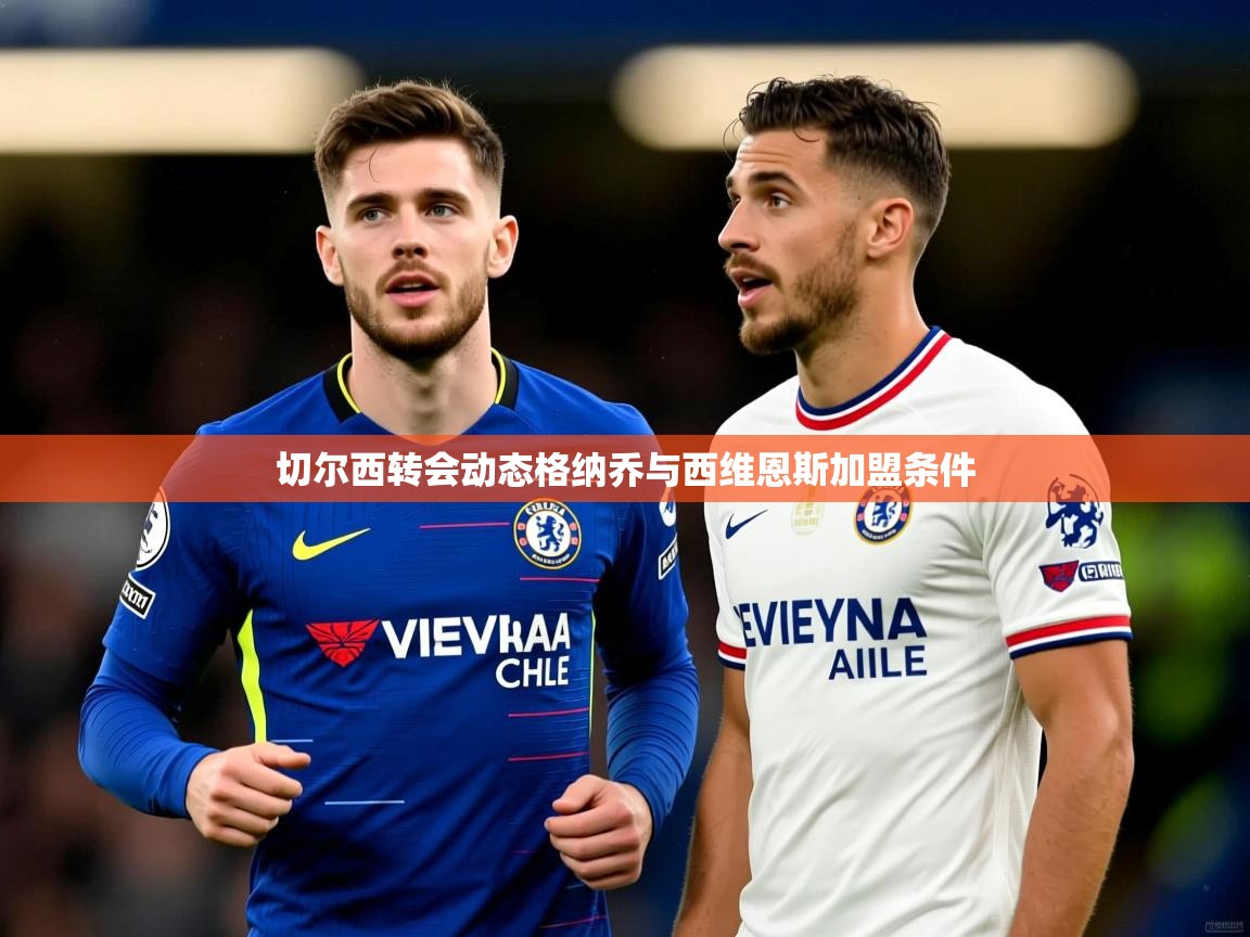 切尔西转会动态格纳乔与西维恩斯加盟条件